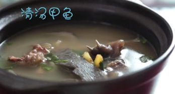 夏日平陽,美酒 美味 美茶