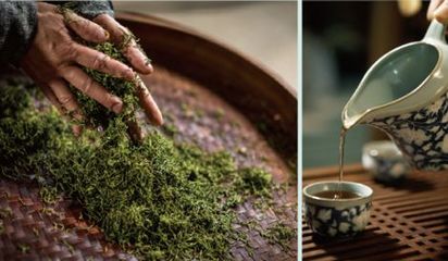 廬江最美茶旅線路(2) | 問茶白云間 登高去潛川--山水茶趣 康養之旅