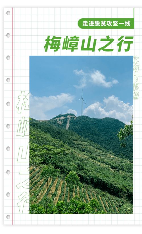 探秘 北海第一高峰上有什么 超美茶田 風(fēng)力發(fā)電機(jī)