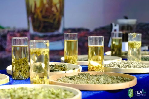 2024廈門(mén)國(guó)際春季茶博會(huì)圓滿(mǎn)落幕