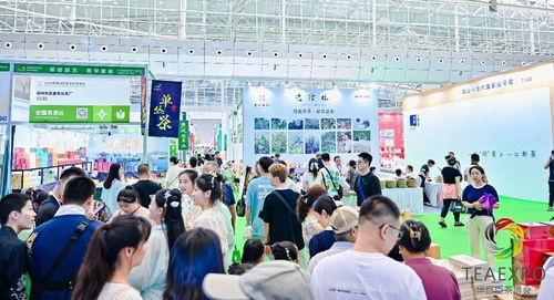 大美新疆 茶香絲路, 2024新疆茶博會(huì)盛大開幕