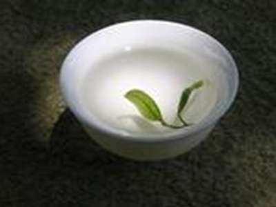 加盟品茶匯 打造賺錢利器，共享美茶事業(yè)